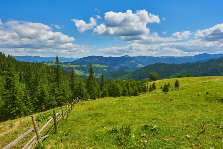 Pieniny z dziećmi latem – atrakcje i noclegi dla rodzin