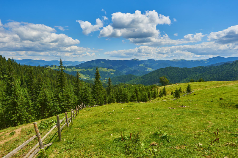 Pieniny z dziećmi latem – atrakcje i noclegi dla rodzin